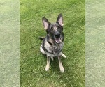 Small #3 Breeder Profile image