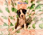 Small #5 Breeder Profile image