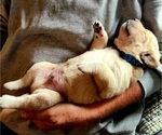 Small #7 Breeder Profile image