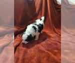 Small #28 Breeder Profile image