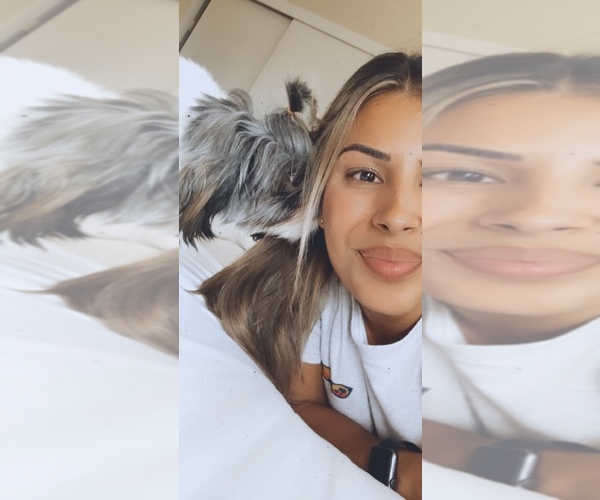 Medium Photo #1  Breeder Profile in LONG BEACH, CA, USA