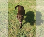 Small #6 Breeder Profile image