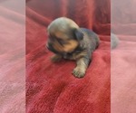Small #122 Breeder Profile image