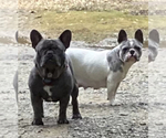Small #23 Breeder Profile image