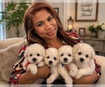 Small #6 Breeder Profile image