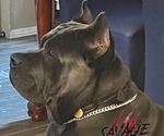 Small #27 Breeder Profile image