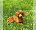 Small #5 Breeder Profile image