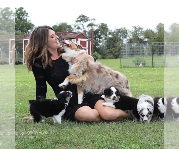Medium Photo #1  Breeder Profile in HEGINS, PA, USA