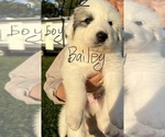 Small #5 Breeder Profile image
