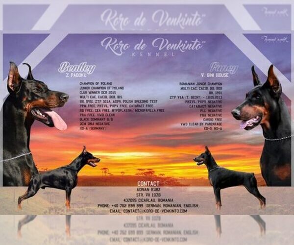 Medium Photo #1  Breeder Profile in NEW YORK, NY, USA