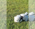 Small #7 Breeder Profile image