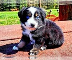 Small #23 Breeder Profile image