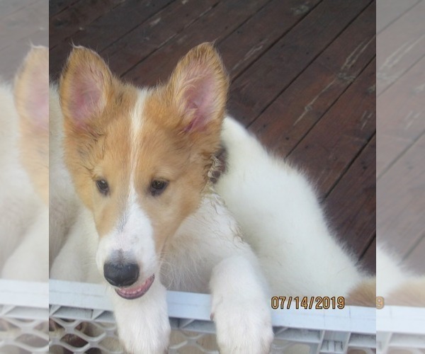 Medium Photo #3  Breeder Profile in HIGH POINT, NC, USA