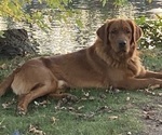 Small #2 Breeder Profile image