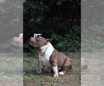 Small #14 Breeder Profile image
