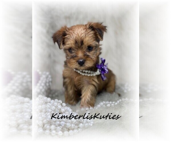 Medium Photo #11  Breeder Profile in LIPAN, TX, USA
