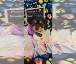 Small #231 Breeder Profile image