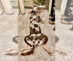 Small #31 Breeder Profile image