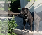 Small #15 Breeder Profile image
