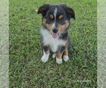 Small #25 Breeder Profile image