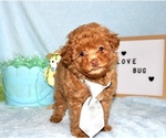 Small #2 Breeder Profile image