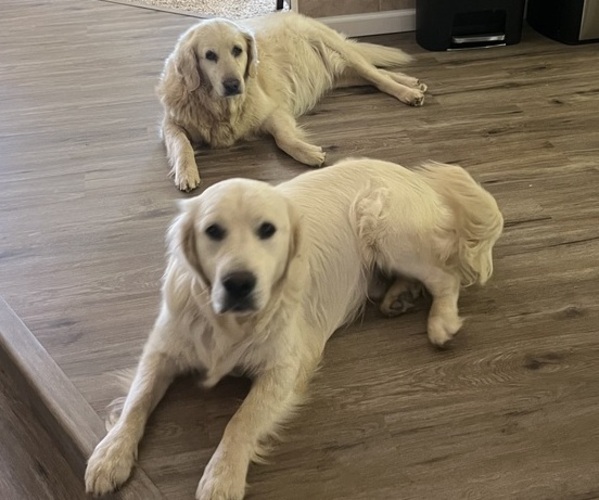 Medium Photo #2  Breeder Profile in PLYMOUTH, CA, USA