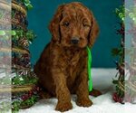 Small #4 Breeder Profile image