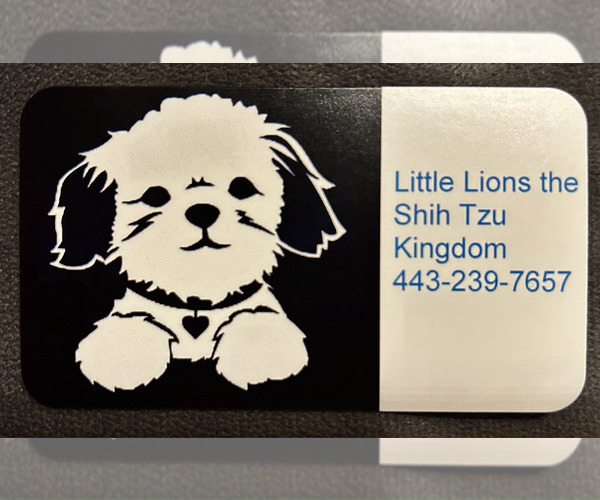Medium Photo #1  Breeder Profile in DENTON, MD, USA