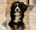 Small #7 Breeder Profile image