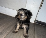 Small #7 Breeder Profile image
