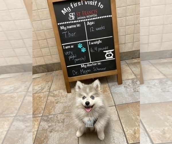 Medium Photo #8  Breeder Profile in BURNS TOWNSHIP, MN, USA