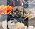 Small #5 Breeder Profile image