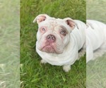 Small #8 Breeder Profile image