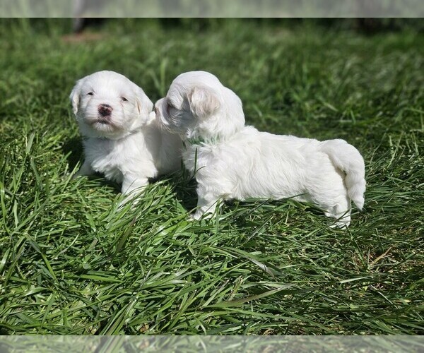 Medium Photo #5  Breeder Profile in FERNDALE, CA, USA