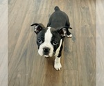 Small #2 Breeder Profile image