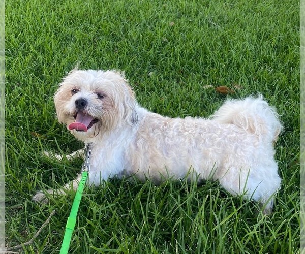 Medium Photo #2  Breeder Profile in PASADENA, MD, USA