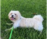 Small #1 Breeder Profile image