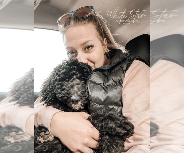Medium Photo #30  Breeder Profile in SHIOCTON, WI, USA