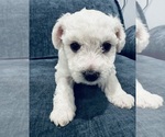 Small #10 Breeder Profile image