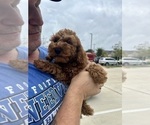 Small #38 Breeder Profile image