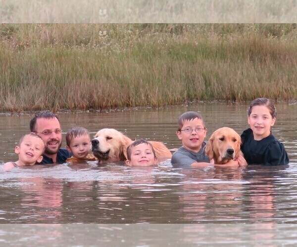 Medium Photo #1  Breeder Profile in PARTRIDGE, KS, USA
