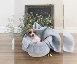 Small #23 Breeder Profile image