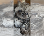 Small #8 Breeder Profile image