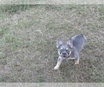 Small #3 Breeder Profile image