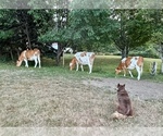 Small #37 Breeder Profile image