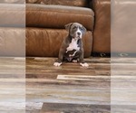 Small #5 Breeder Profile image