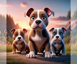 American Bully Dog Breeder near ATLANTA, GA, USA