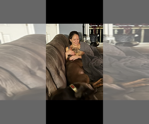 Medium Breeder Profile Photo