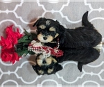 Small #12 Breeder Profile image