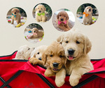 Small #6 Breeder Profile image